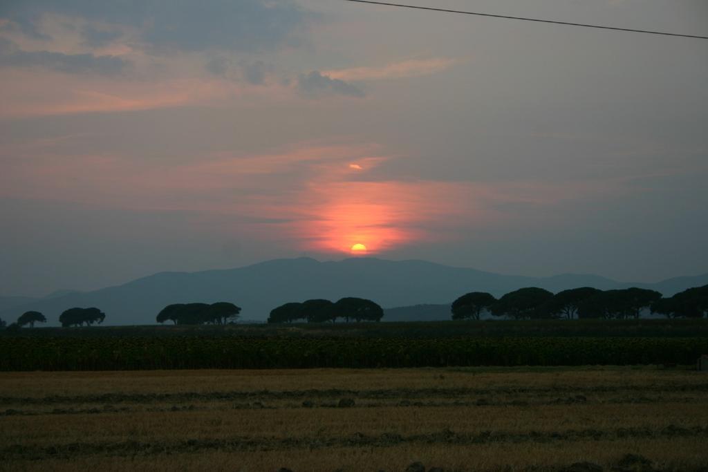 Appartamenti Il Granaio Marina di Grosseto Dış mekan fotoğraf